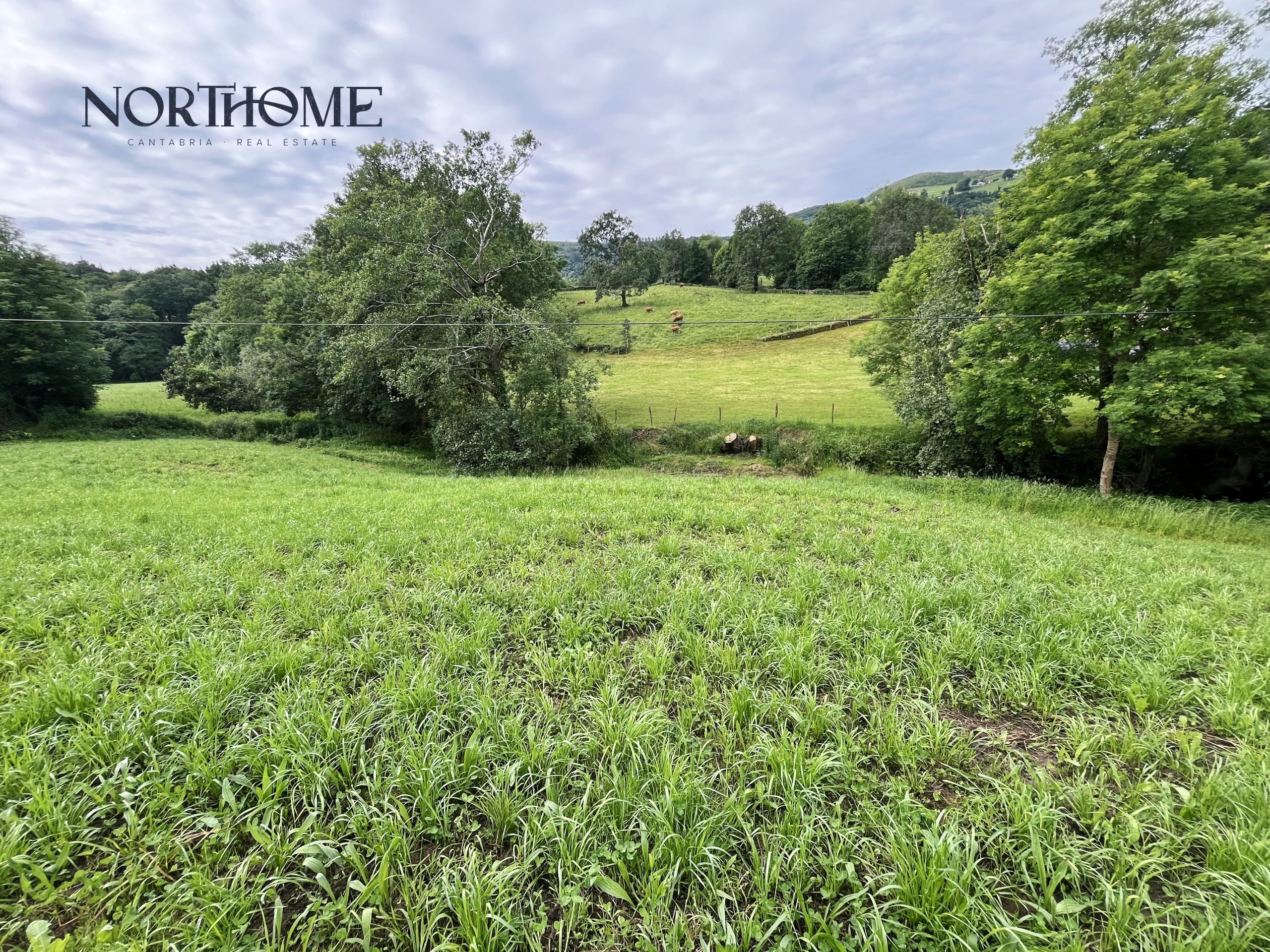 Terreno en venta en Hornedo