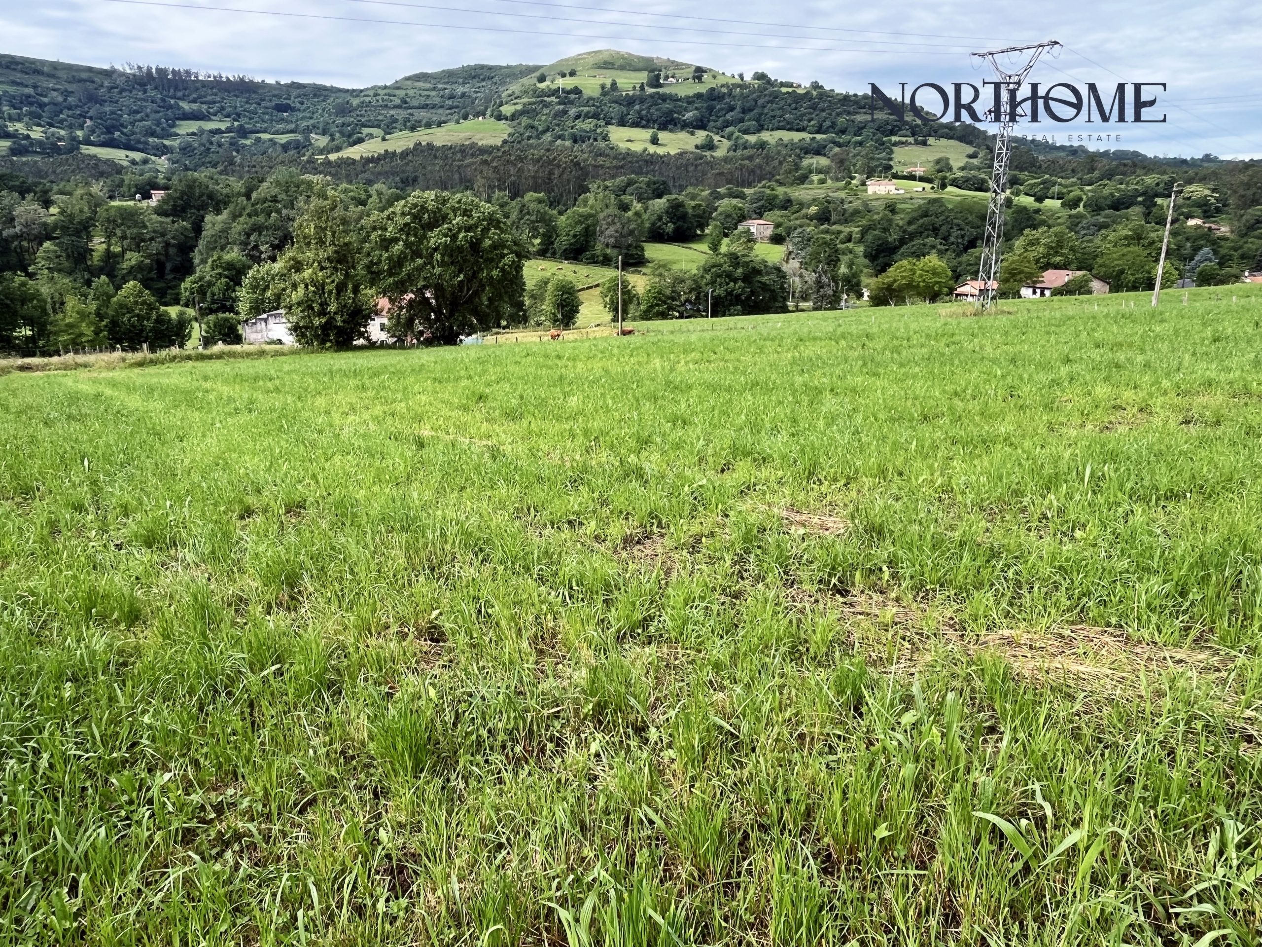 Terreno en venta en Hornedo